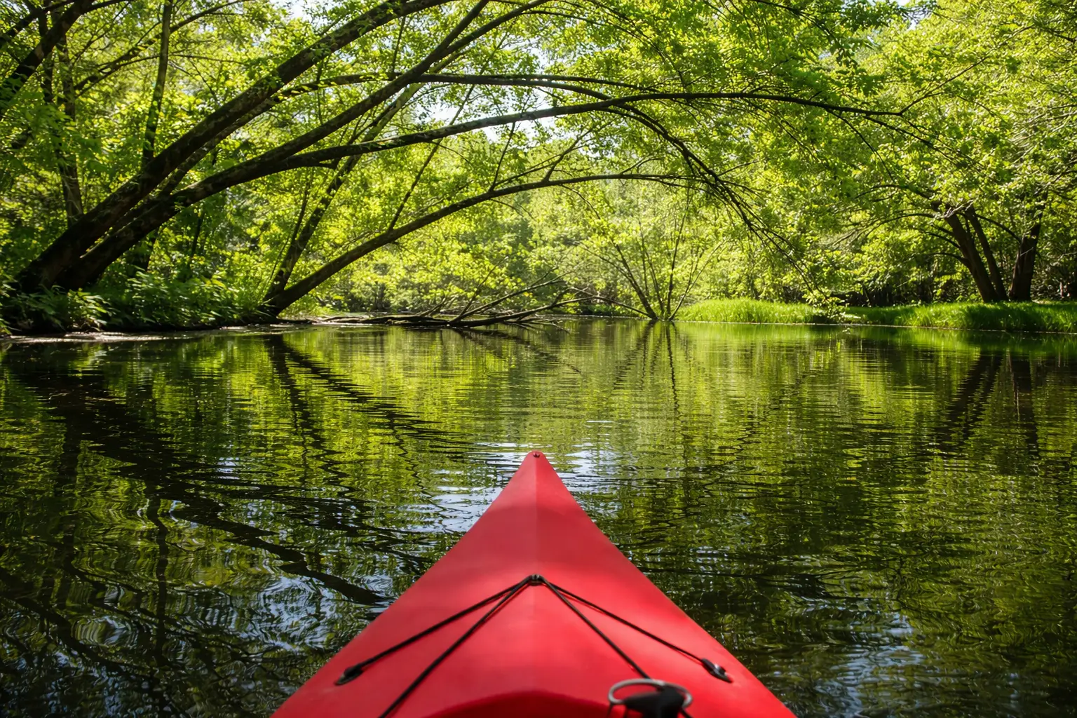 Backwater Cruise